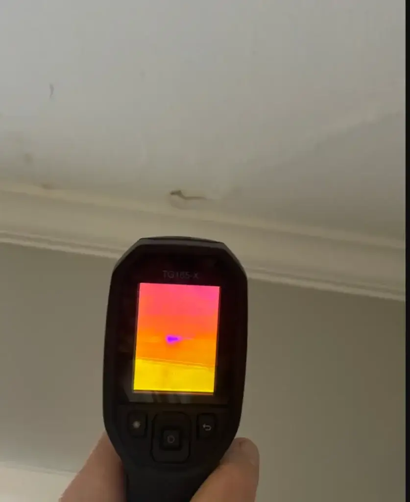 Water Leak Detection Specialist: Advanced Leak Detection Tools